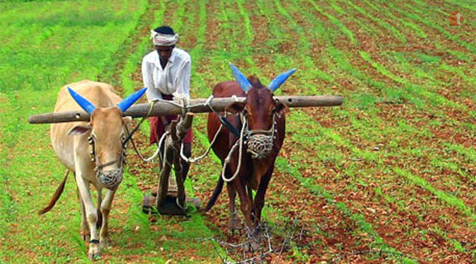 Formers to get short term loan at 7% interest rate