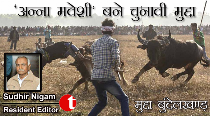 अन्ना मवेशी बने चुनावी मुद्दा