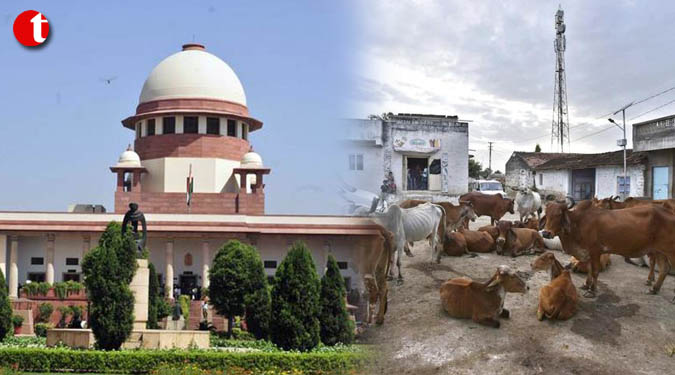 न्यायालय ने गोरक्षा समूहों पर प्रतिबंध संबंधी याचिका को लेकर छह राज्यों से मांगा जवाब