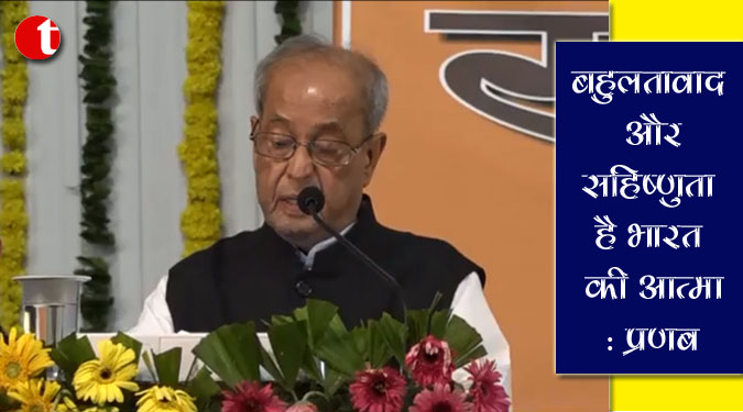 बहुलतावाद और सहिष्णुता है भारत की आत्मा: प्रणब