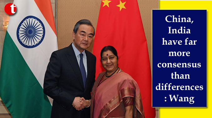China, India have far more consensus than differences: Wang