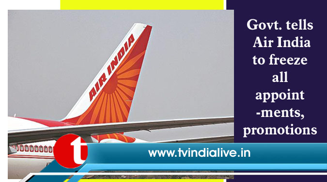 Govt. tells Air India to freeze all appointments, promotions