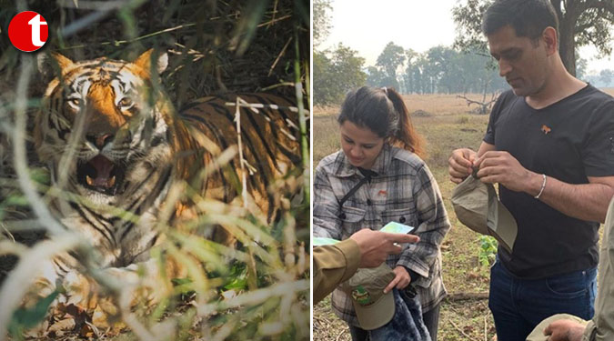 Dhoni is a talented wildlife photographer. Here's proof