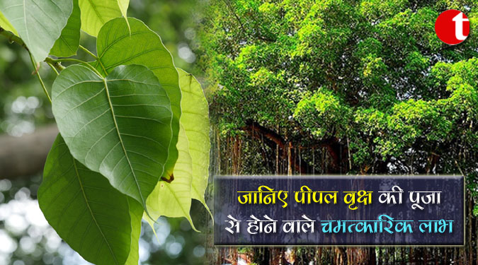 जानिए पीपल वृक्ष पूजा से होने वाले चमत्कारिक लाभ