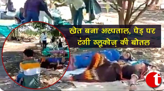 खेत बना अस्पताल, पेड़ पर टंगी ग्लूकोज की बोतल