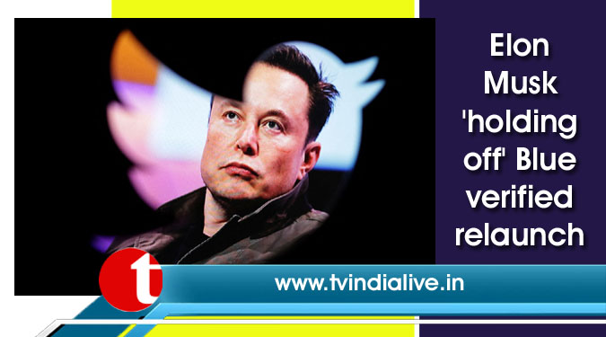 Elon Musk ‘holding off’ Blue verified relaunch