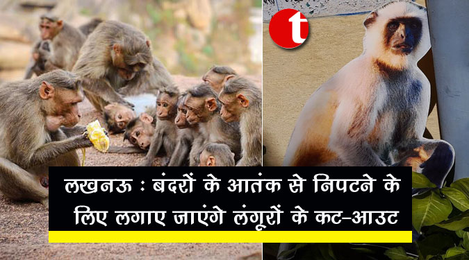 लखनऊ : बंदरों के आतंक से निपटने के लिए लगाए जाएंगे लंगूरों के कट-आउट