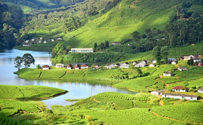 Places to visit in Munnar